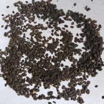 补骨脂碎批发支持代发1000克补骨脂