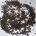补骨脂碎批发支持代发1000克补骨脂