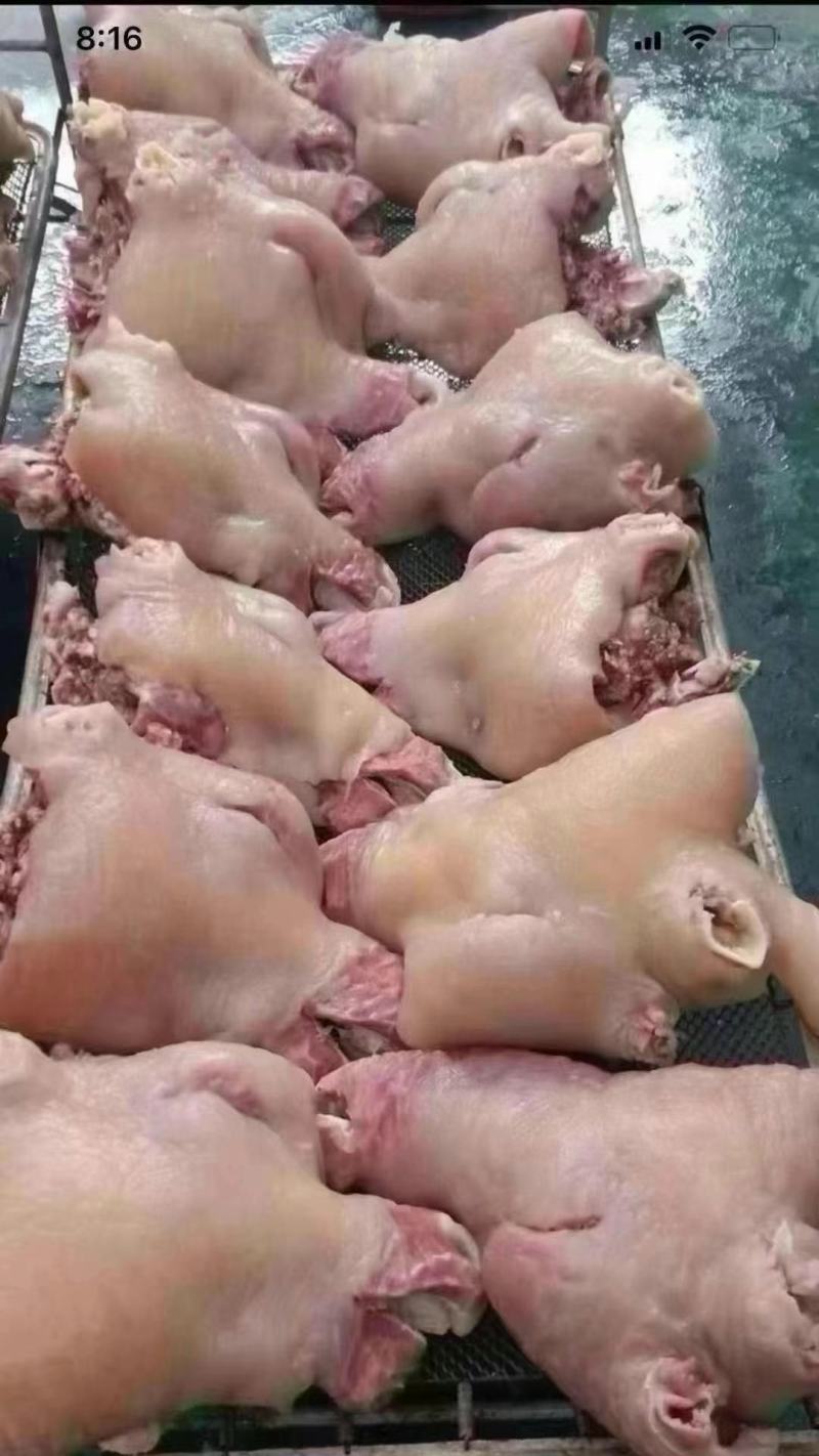 24小时在线选购新鲜牛头肉一手货源长期稳定供货