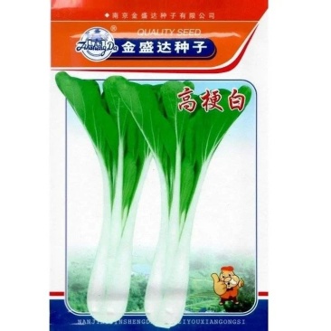 长梗高梗白耐热白菜种子南北方秋播高杆长杆腌白菜四季蔬菜