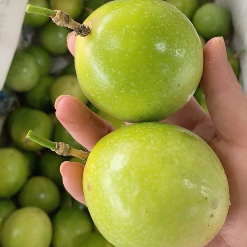 批发百香果