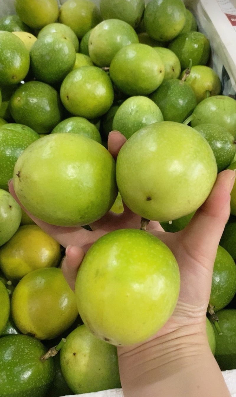 批发百香果