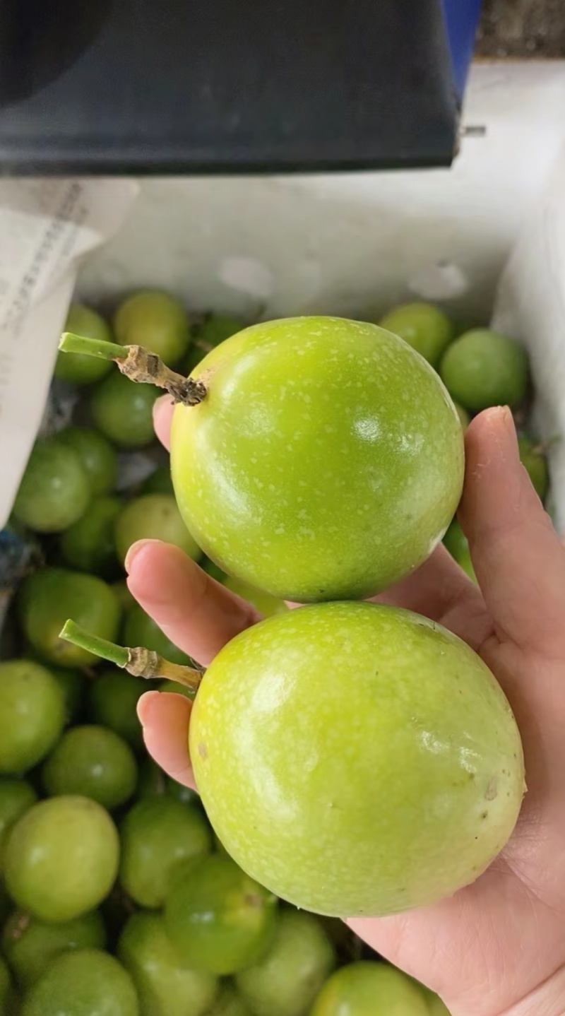 批发百香果