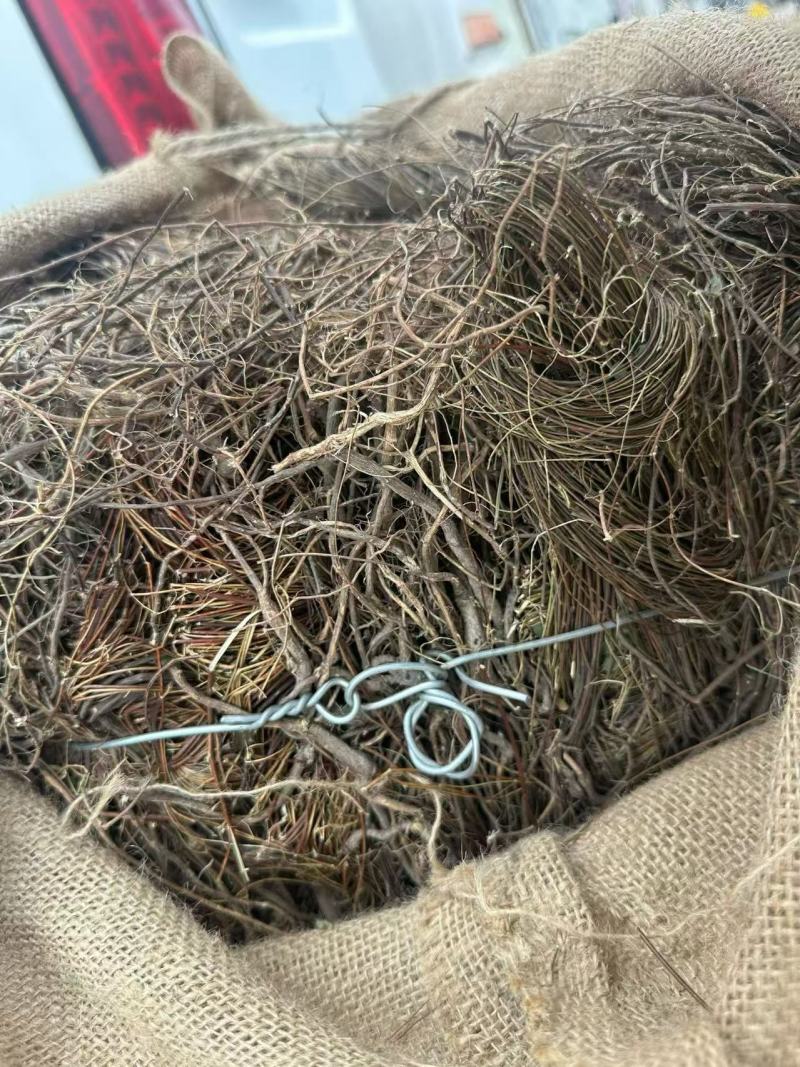 进口泰国鸡骨草，干货一手货源底于市场价
