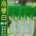 长梗高梗白耐热白菜种子南北方秋播高杆长杆腌白菜四季蔬菜