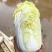 云南精品大娃娃菜,物美价廉,颜色好,口感好