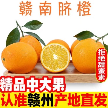 《一件代发》赣南脐橙脐橙基地直发货源充足