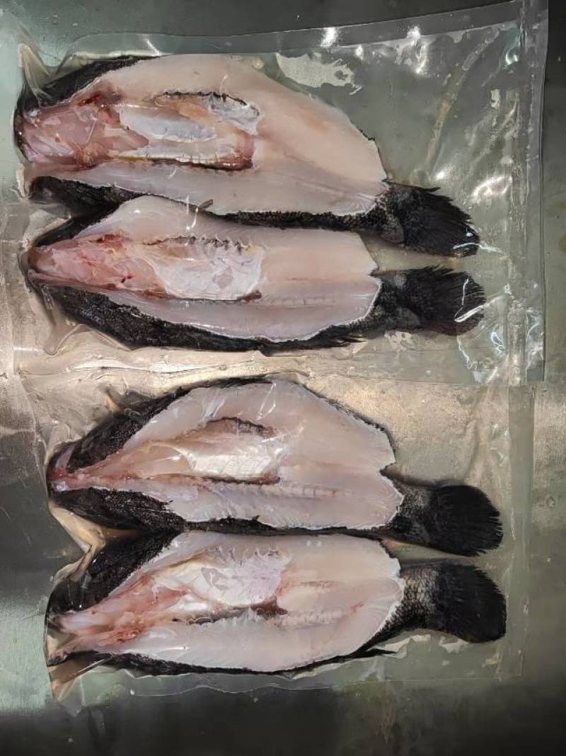 专业做笋壳鱼