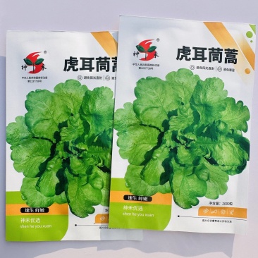 虎耳大叶茼蒿种子耐寒抗病鲜嫩口感长势快茼蒿种籽农家菜园