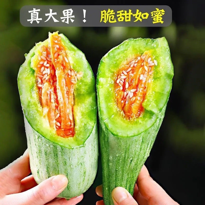 羊角蜜甜瓜大棚货产地直销支持电商一件代发