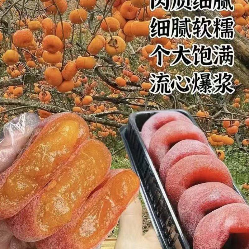 【广西柿饼】平乐流心柿饼/电商团购一件代发日供应2万单