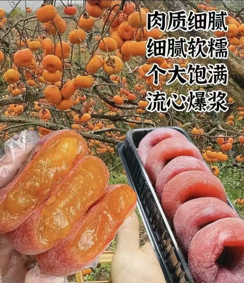 【广西柿饼】平乐流心柿饼/电商团购一件代发日供应2万单