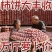 【广西柿饼】平乐流心柿饼/电商团购一件代发日供应2万单