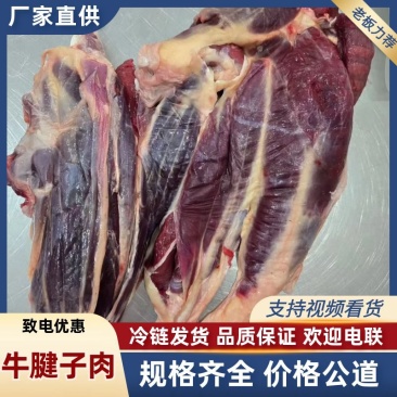 【牛腱子肉-求合作】批发一件50斤冷冻牛后腱前腱牛腱子肉