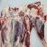 【牛腱子肉-求合作】批发一件50斤冷冻牛后腱前腱牛腱子肉