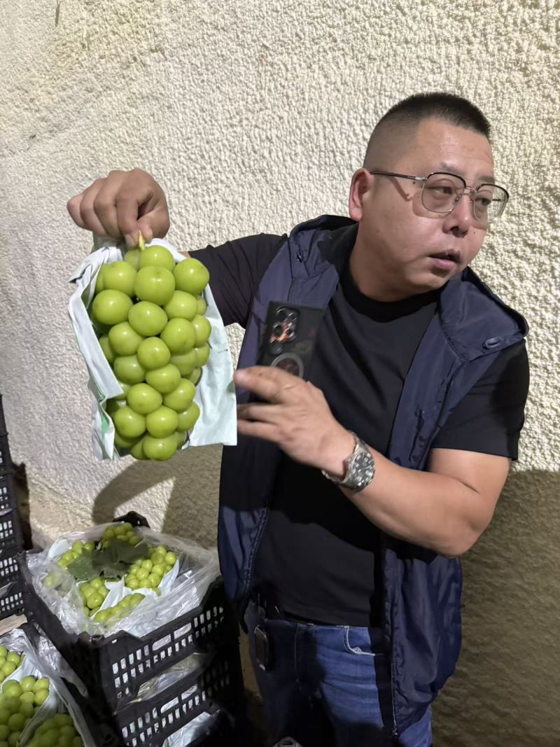 【阳光玫瑰】精品葡萄山东葡萄晴王葡萄产地货源