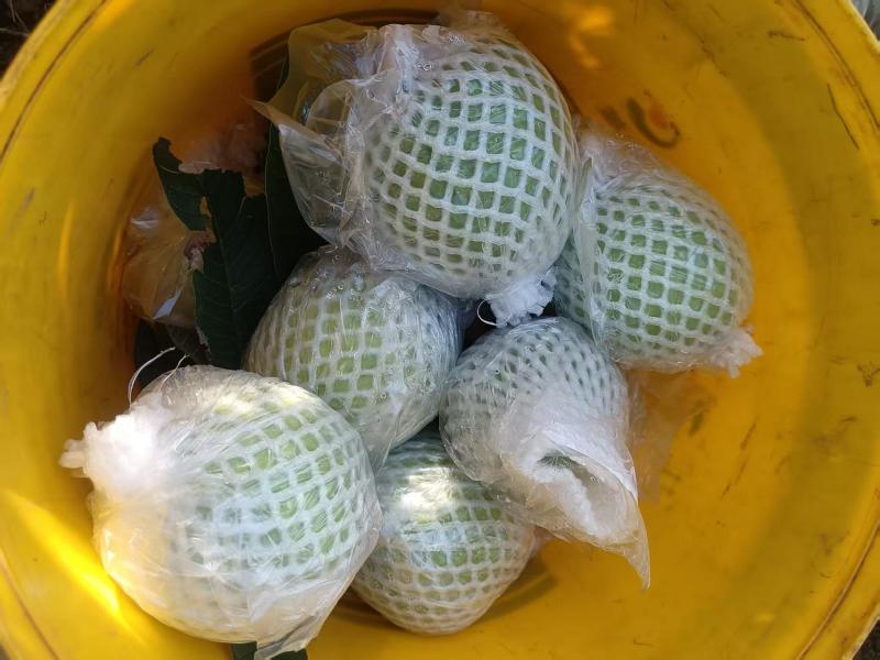 代收云南各种水果
