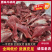 【牛碎肉-求合作】批发一件50斤牛肉块牛碎肉