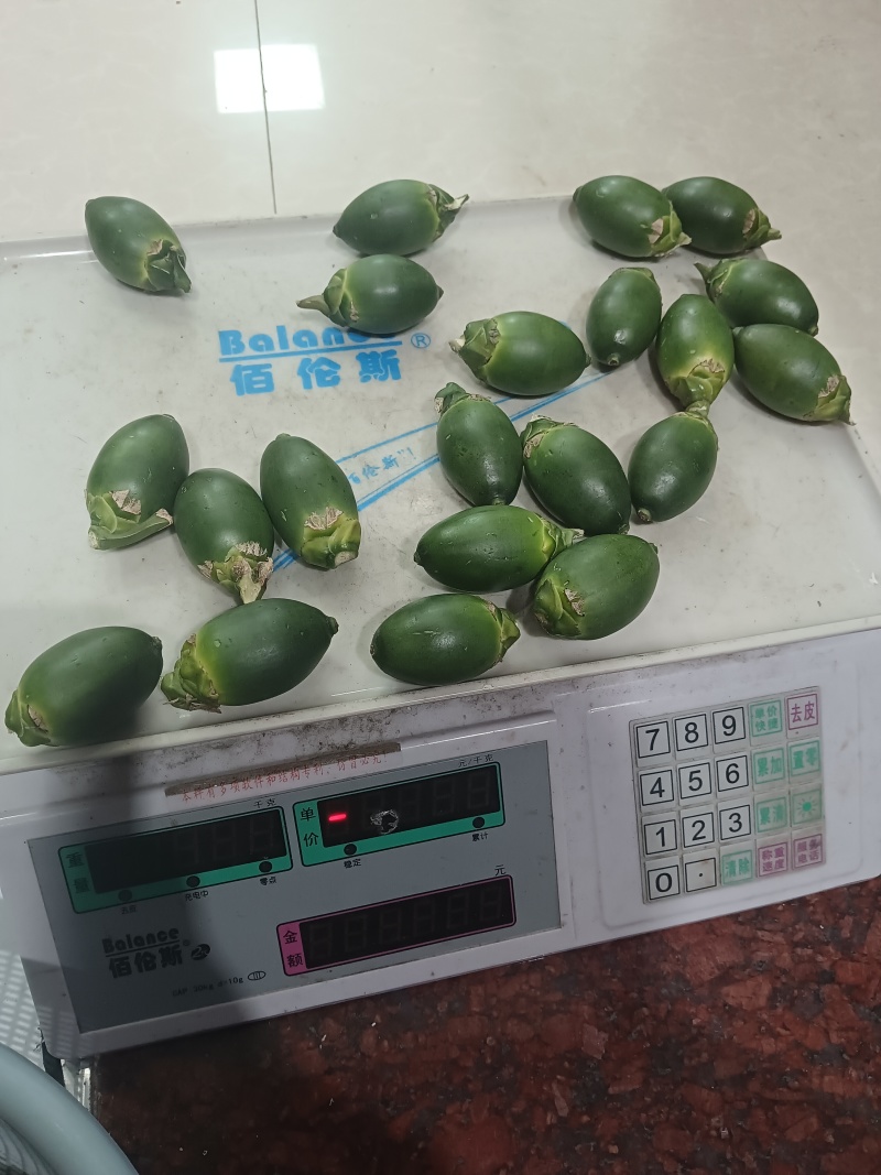 海南槟榔鲜果