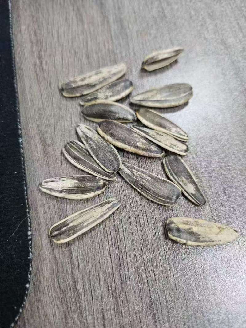葵花籽