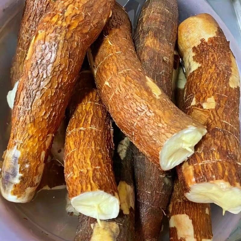 广西特产黄心木薯糖水华南9号即食木薯羹木薯糖水