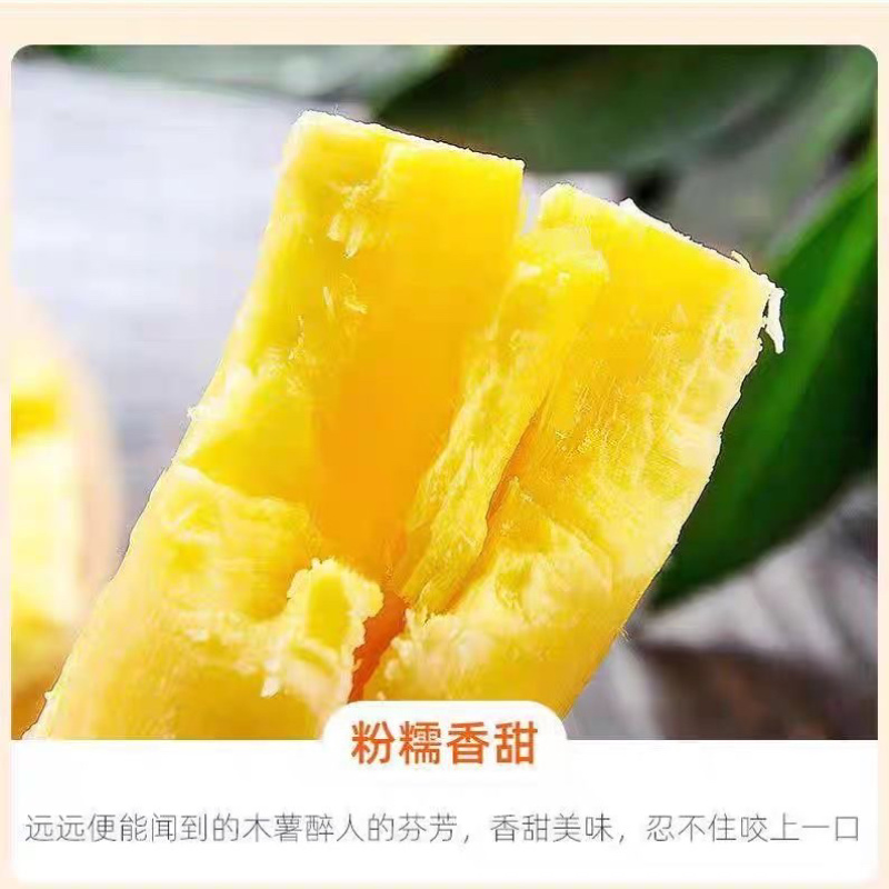 广西特产黄心木薯糖水华南9号即食木薯羹木薯糖水