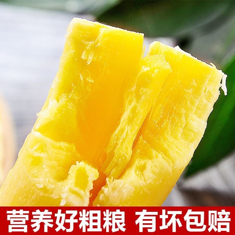 广西特产黄心木薯糖水华南9号即食木薯羹木薯糖水