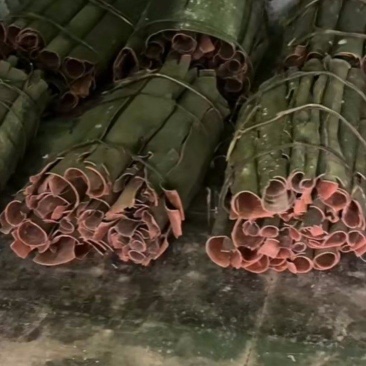 高山薄香桂皮无杂质长期供货