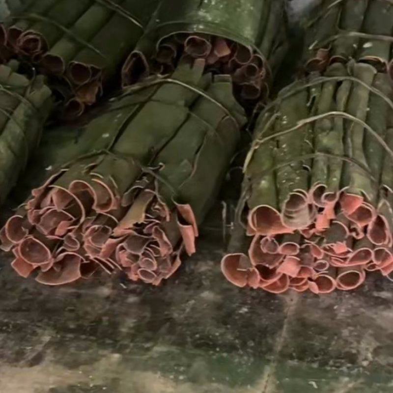 高山薄香桂皮无杂质长期供货