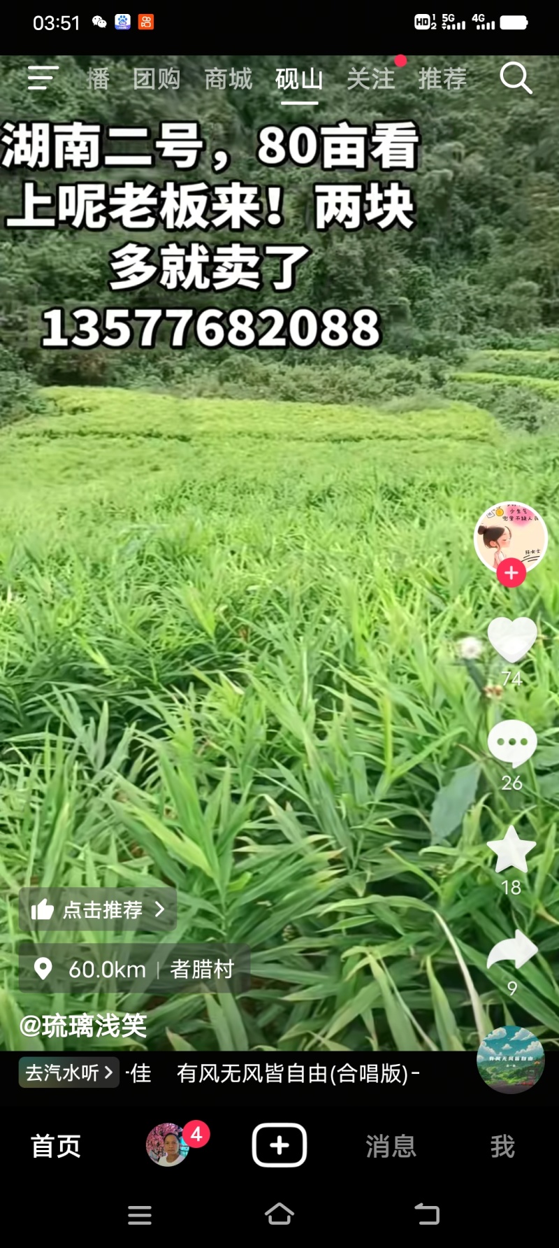生姜云南精品生姜库存充足量大从优欢迎老板选购