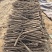 河北廊坊17山药603产地16一手货源10电联20看货