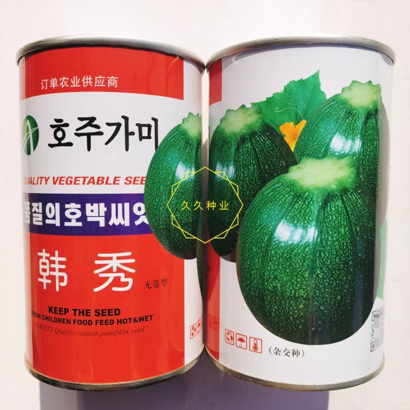 美韩秀西葫芦种子杂交极早熟高椭圆形菜瓜无蔓型小南瓜种