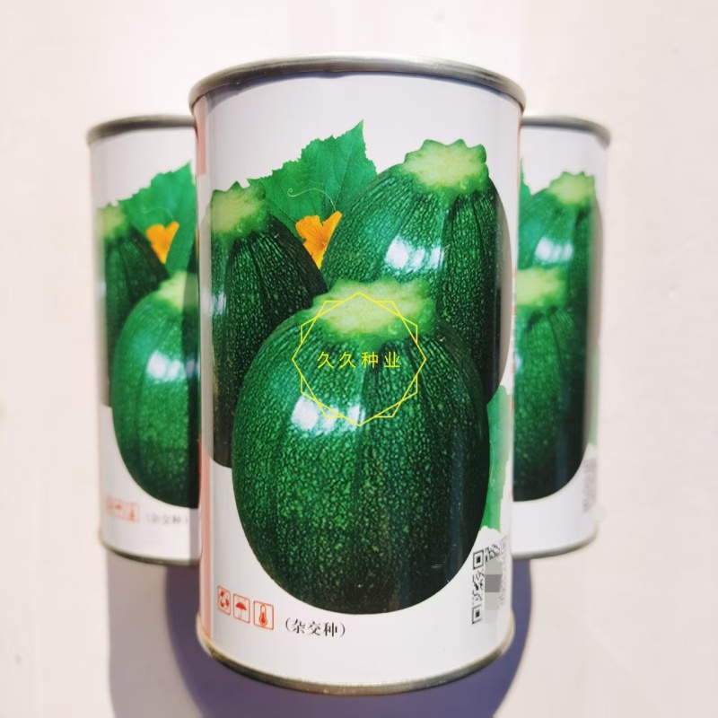 美韩秀西葫芦种子杂交极早熟高椭圆形菜瓜无蔓型小南瓜种
