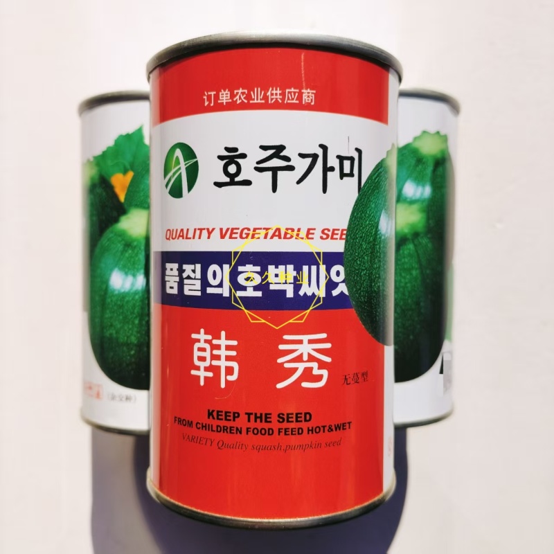 美韩秀西葫芦种子杂交极早熟高椭圆形菜瓜无蔓型小南瓜种