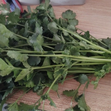 精品小叶香菜，品质一