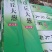 正宗章丘大葱基地直发