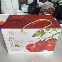 口感西红柿，口感沙瓤番茄吉诺比利普罗旺斯对接团购