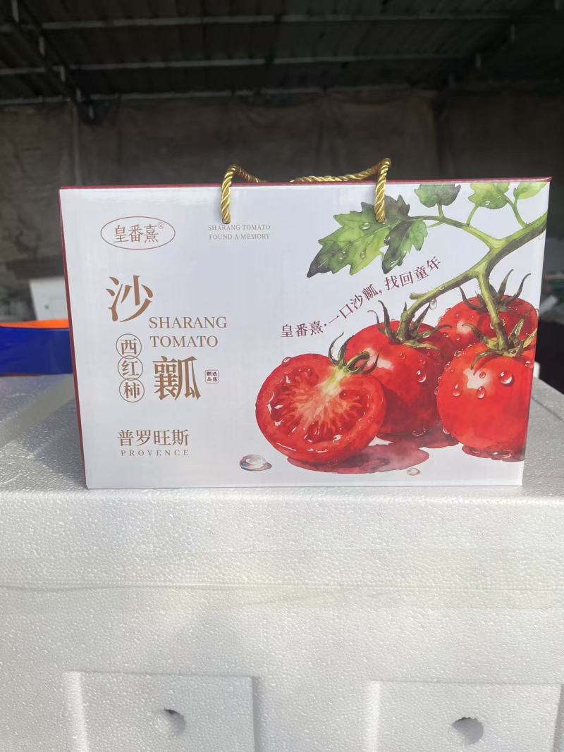 口感西红柿，口感沙瓤番茄吉诺比利普罗旺斯对接团购