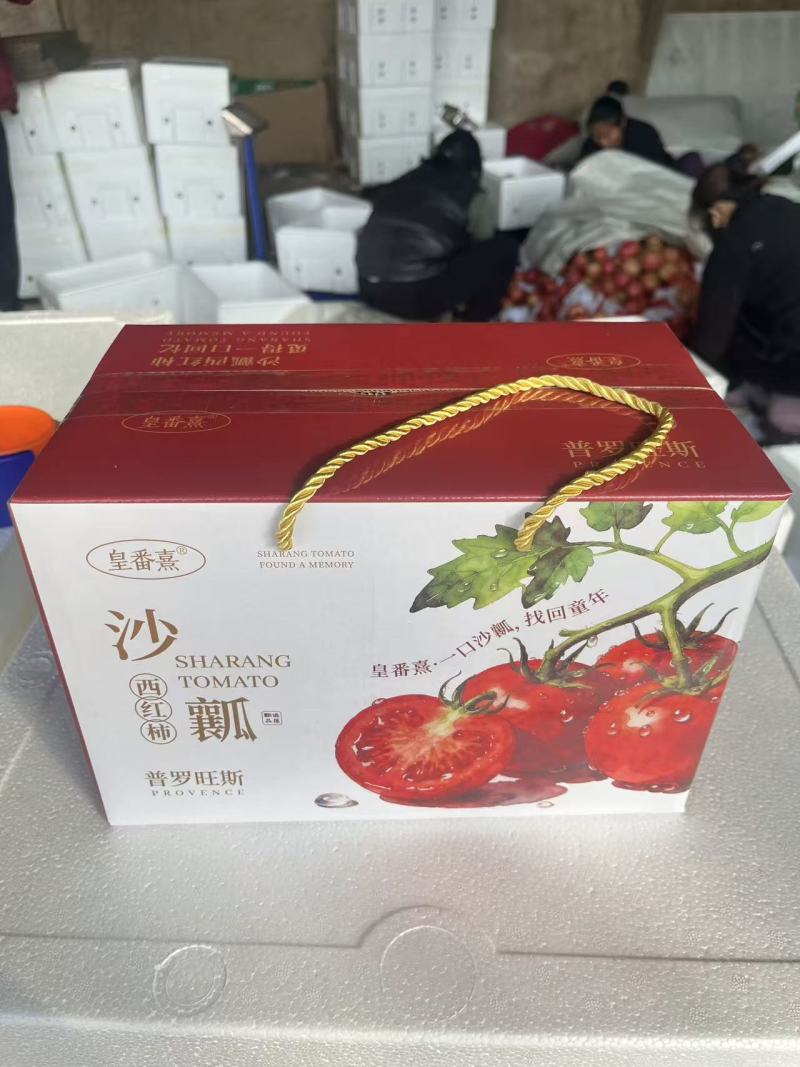 口感西红柿，口感沙瓤番茄吉诺比利普罗旺斯对接团购
