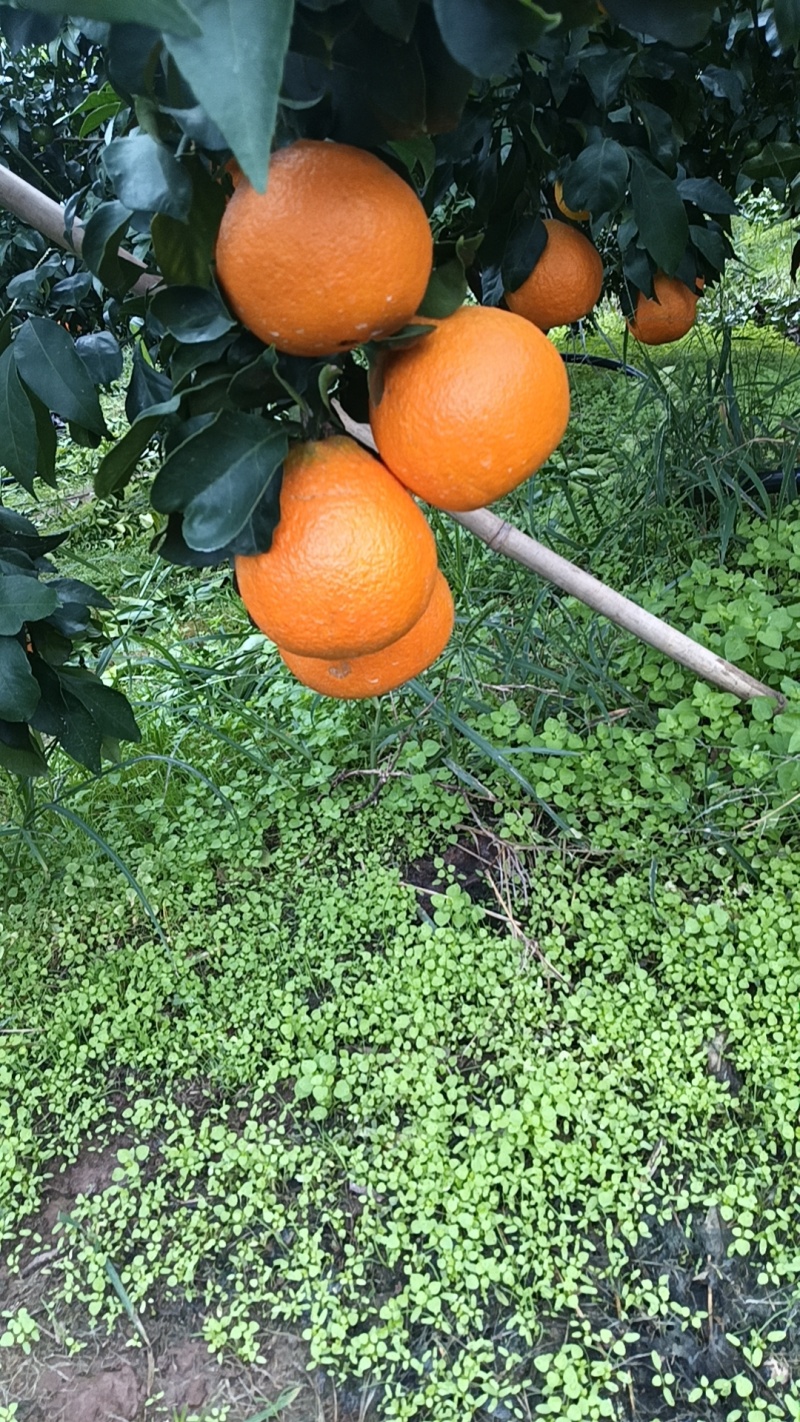 爱暖