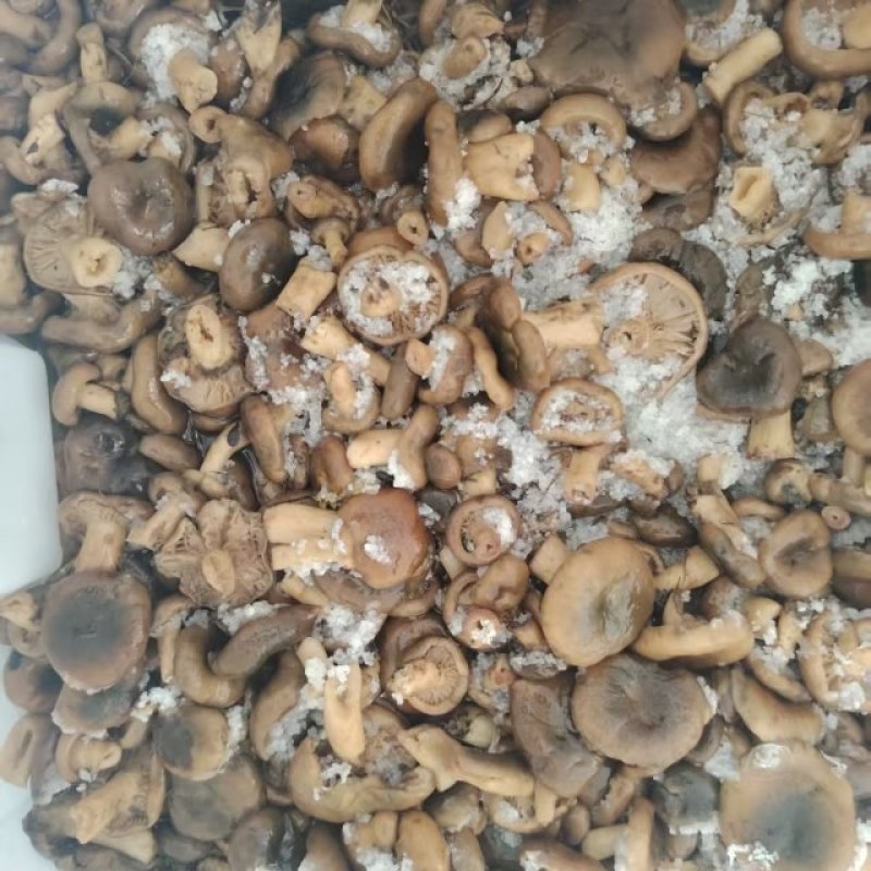精品已加工，价钱好商量
