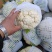 河北精品松花花菜产地直发一手货源保质保量全国发货