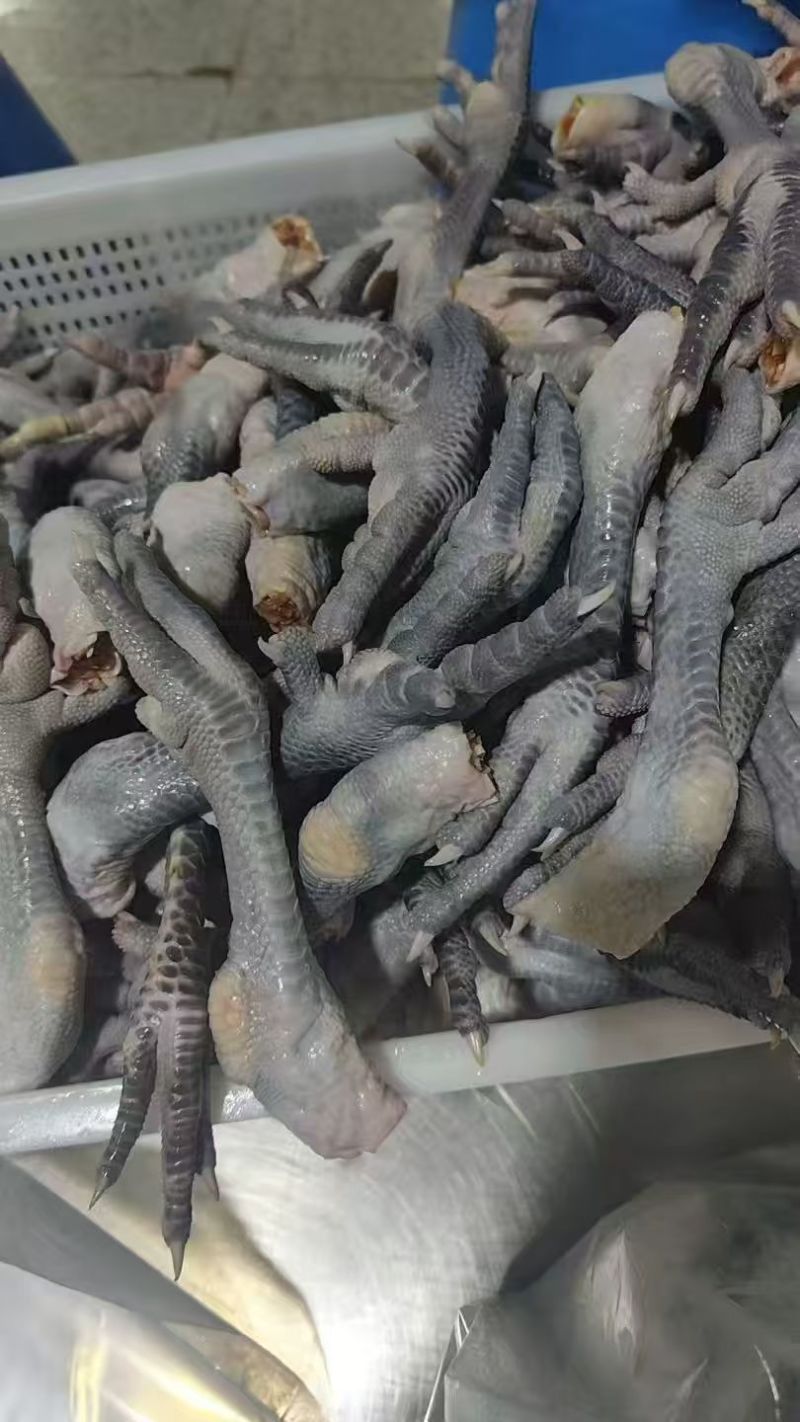 土鸡爪