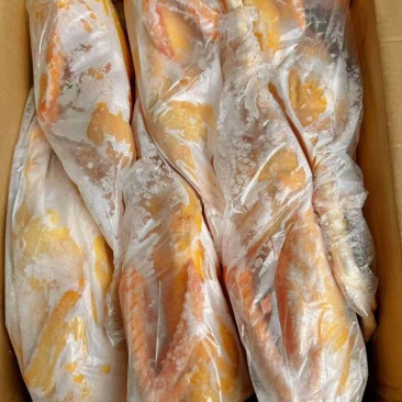 番鸭
