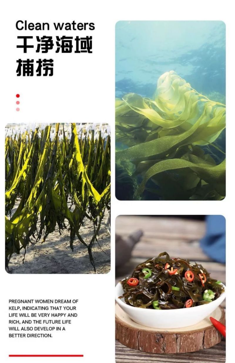 海带丝开袋即食香辣下饭菜凉拌大小包装零食整箱600克装