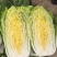 黄心大白菜