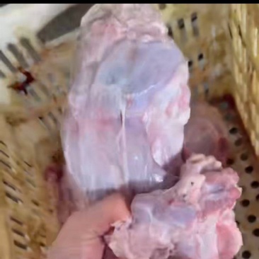 满肉牛喉头