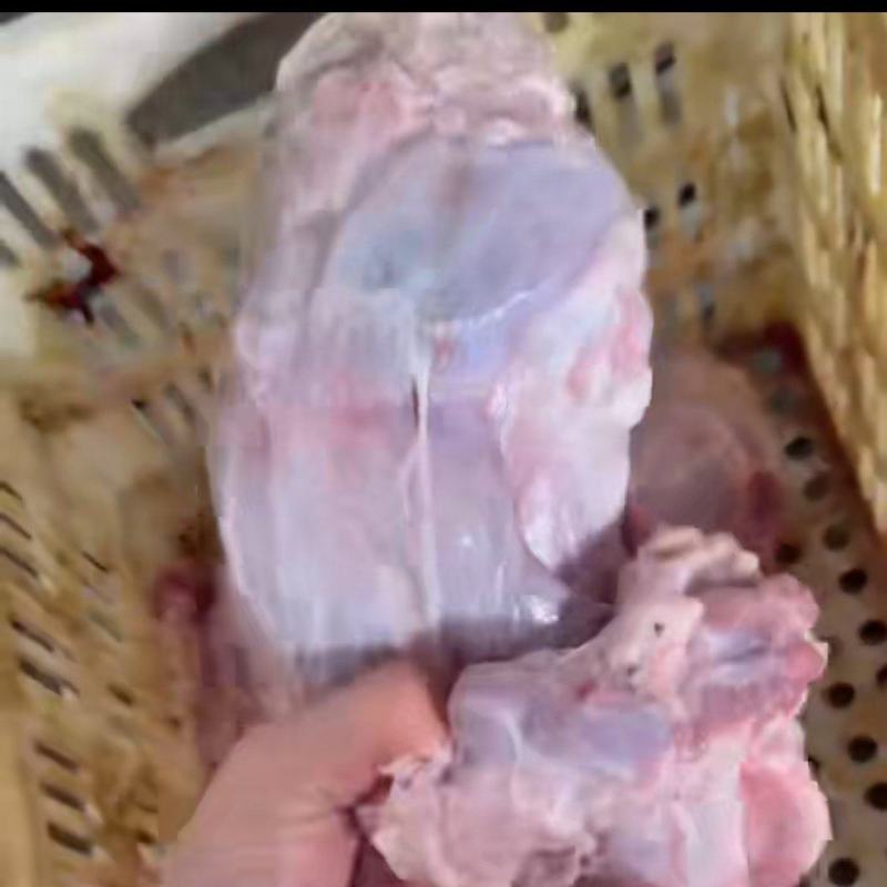 满肉牛喉头