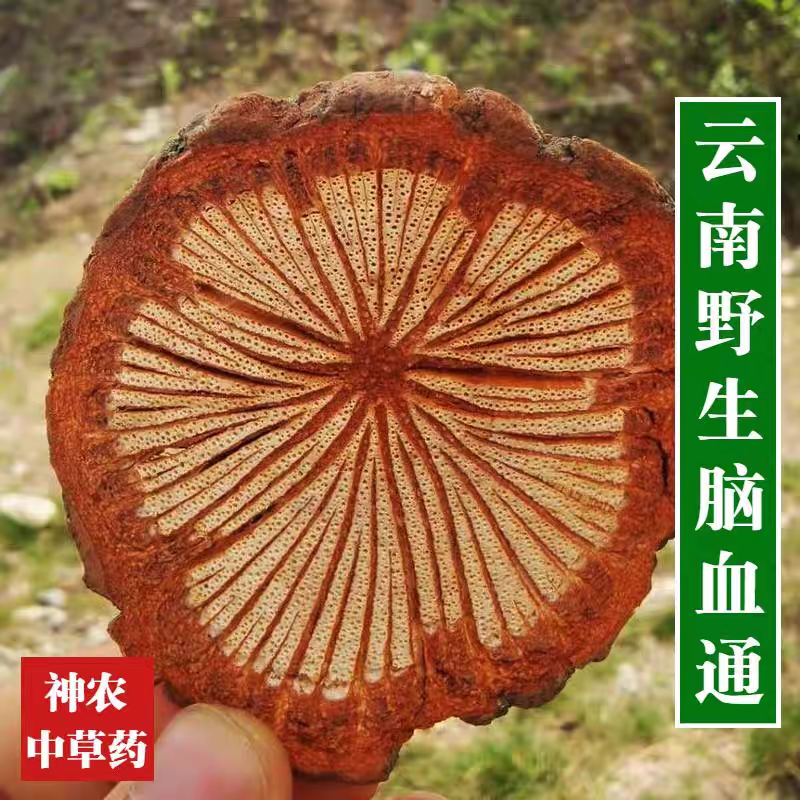 （包邮）血塞通野生血赛通血藤大血藤脑血通红藤血藤血塞通