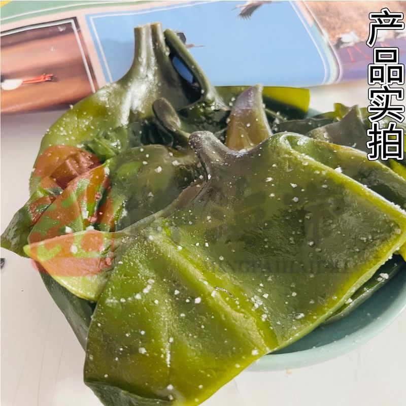 海带头巨厚整箱厚实新鲜盐渍海带头无盐海带丝海带根海带